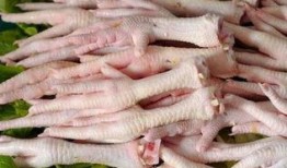 坏鸡爪子爆料视频在线观看,坏鸡爪子爆料视频背后的真相